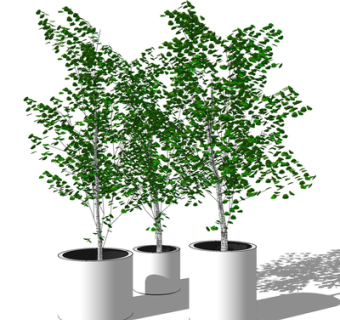 现代绿植盆栽su模型