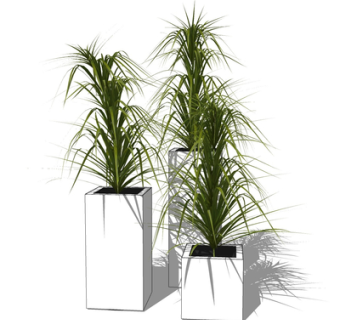 现代绿植盆栽su模型