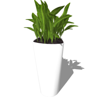 现代绿植盆栽su模型