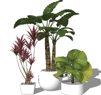 现代绿植盆栽su模型