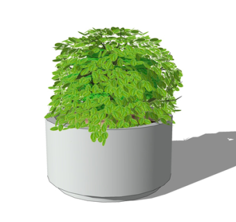 现代绿植盆栽su模型