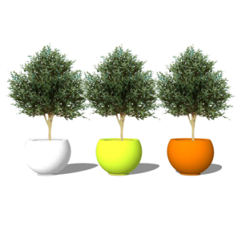 现代绿植盆栽su模型