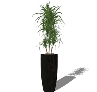 现代绿植盆栽su模型