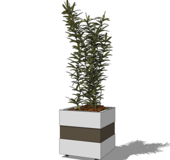 现代绿植盆栽su模型