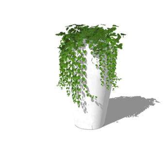 现代绿植盆栽su模型
