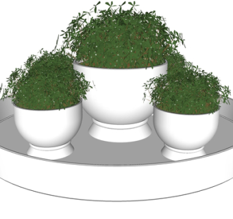 现代绿植盆栽su模型