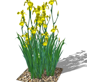 现代绿植花卉su模型