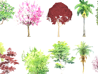 现代景观树组合su模型
