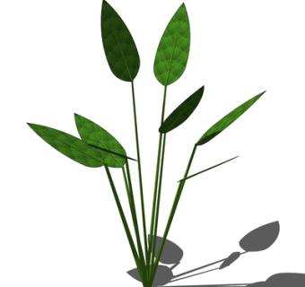 现代绿植花草su模型