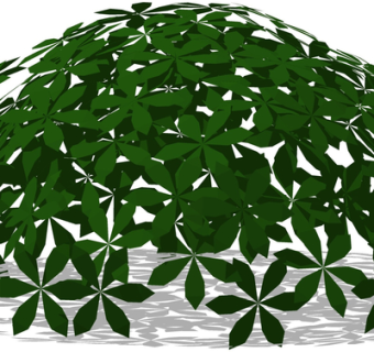 现代绿植花草su模型