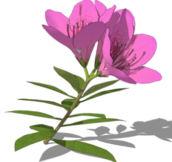 现代绿植花卉su模型