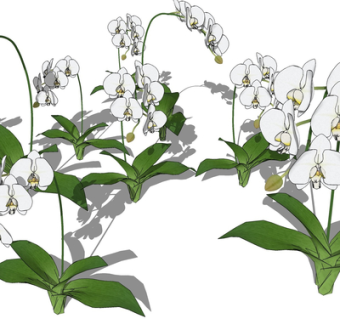 现代绿植花卉su模型