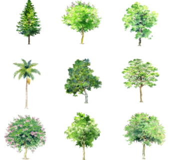 现代绿植花卉su模型