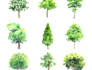 现代景观树组合su模型