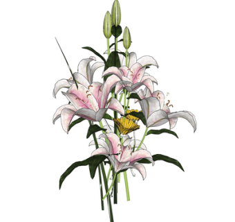 现代绿植花卉su模型