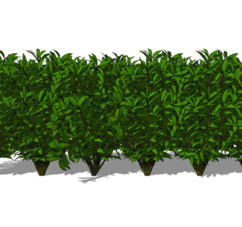 现代绿植花草su模型