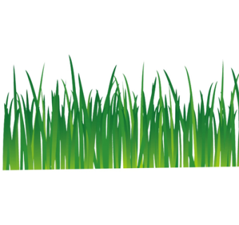 现代绿植花草su模型