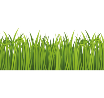 现代绿植花草su模型