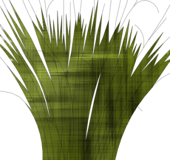 现代绿植花草su模型