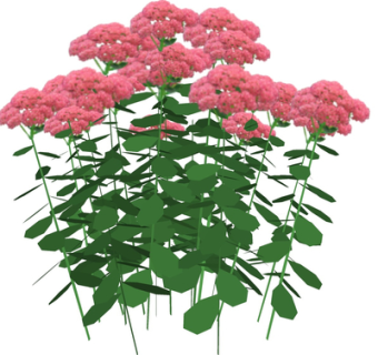 现代绿植花草su模型