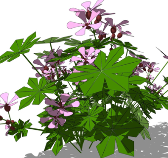 现代绿植花草su模型