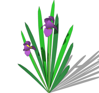 现代绿植花草su模型