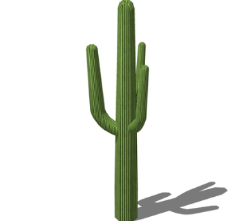 现代仙人掌su模型