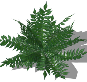 现代绿植花草su模型