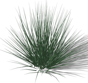 现代绿植花草su模型