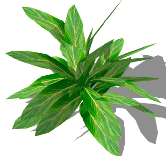 现代绿植花草su模型