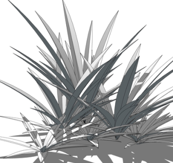 现代绿植花草su模型