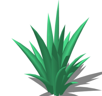 现代绿植花草su模型