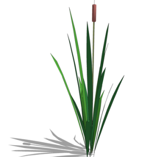 现代绿植花草su模型