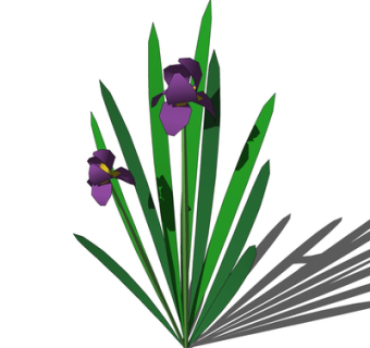 现代绿植花草su模型