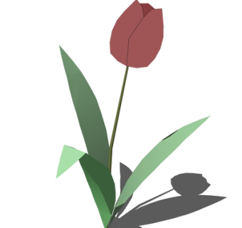 现代绿植花草su模型