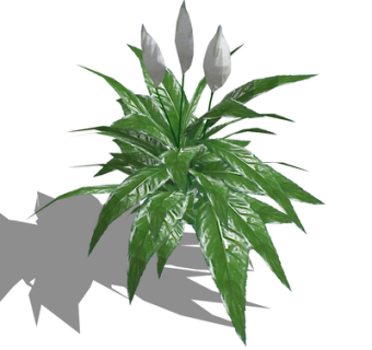 现代绿植花草su模型