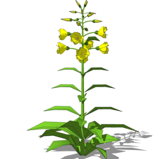 现代绿植花草su模型