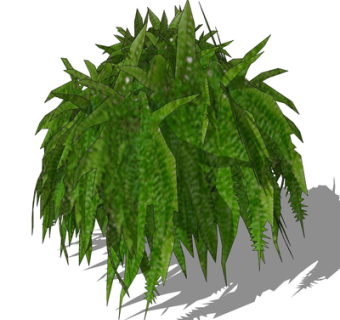 现代绿植花草su模型