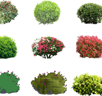 现代绿植花草su模型