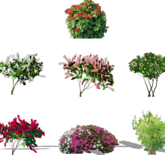 现代绿植花草su模型