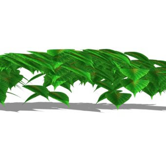 现代植物墙su模型