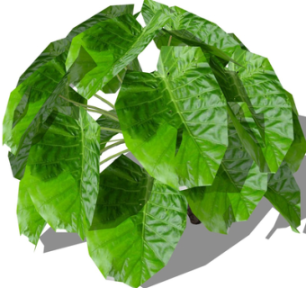 现代绿植花草su模型