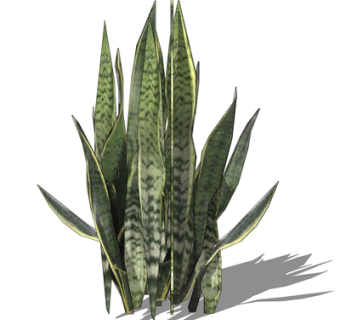 现代芦荟su模型