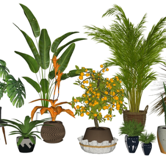 现代盆栽组合su模型