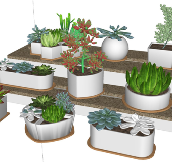 现代多肉植物盆栽su模型