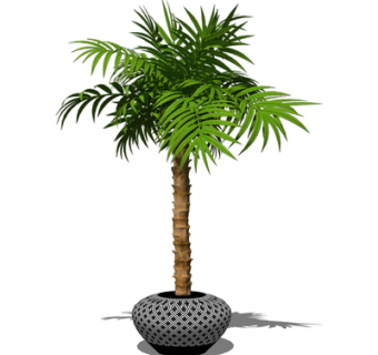 现代绿植盆栽su模型