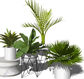 现代绿植盆栽su模型