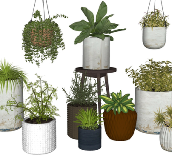 现代绿植盆栽su模型