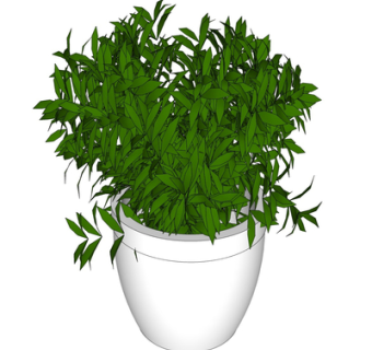 现代绿植盆栽su模型