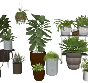 现代绿植盆栽su模型